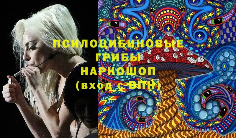 Псилоцибиновые грибы Magic Shrooms  Динская 